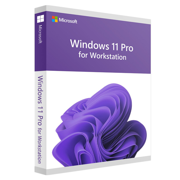 windows-11-pro-for-workstation-instant-license